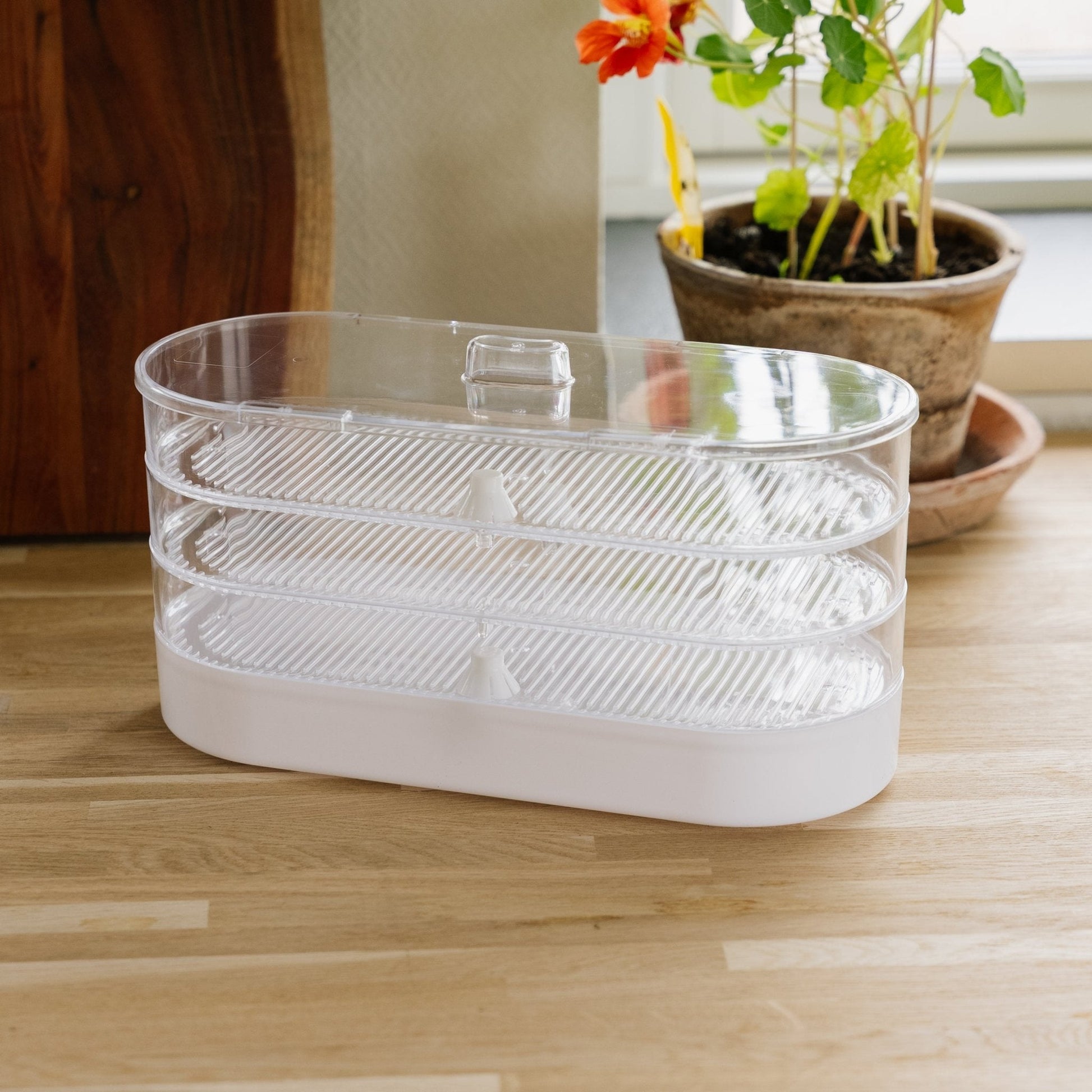 Kasvatuspylväs, 4 tasoa