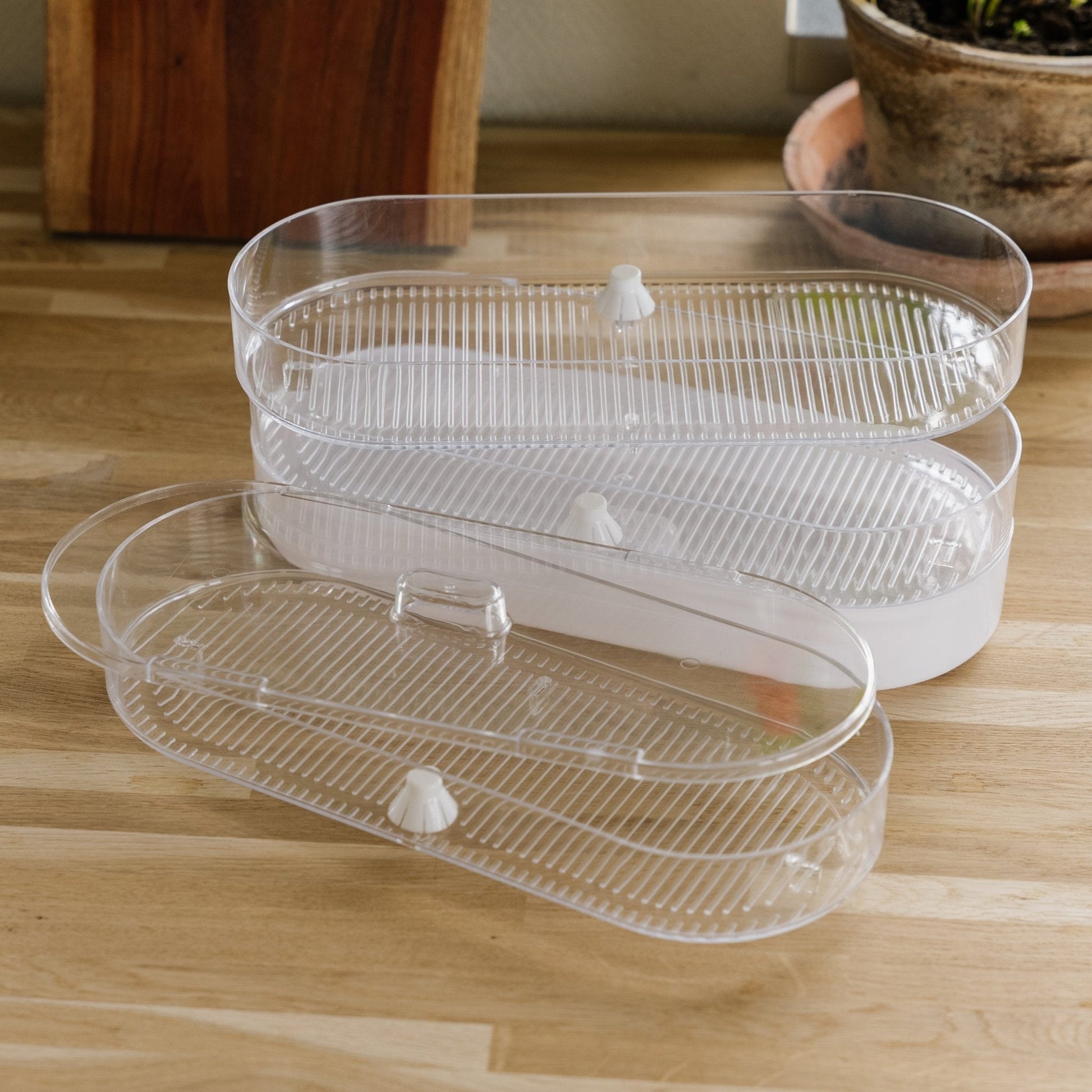 Kasvatuspylväs, 4 tasoa