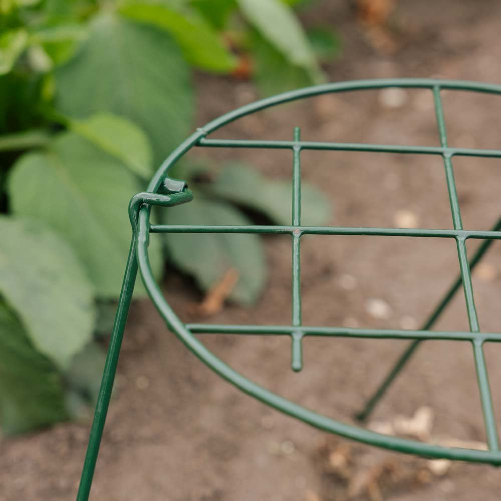 Kasvien tukiverkko, Leveys: 30 cm Korkeus: 45 cm