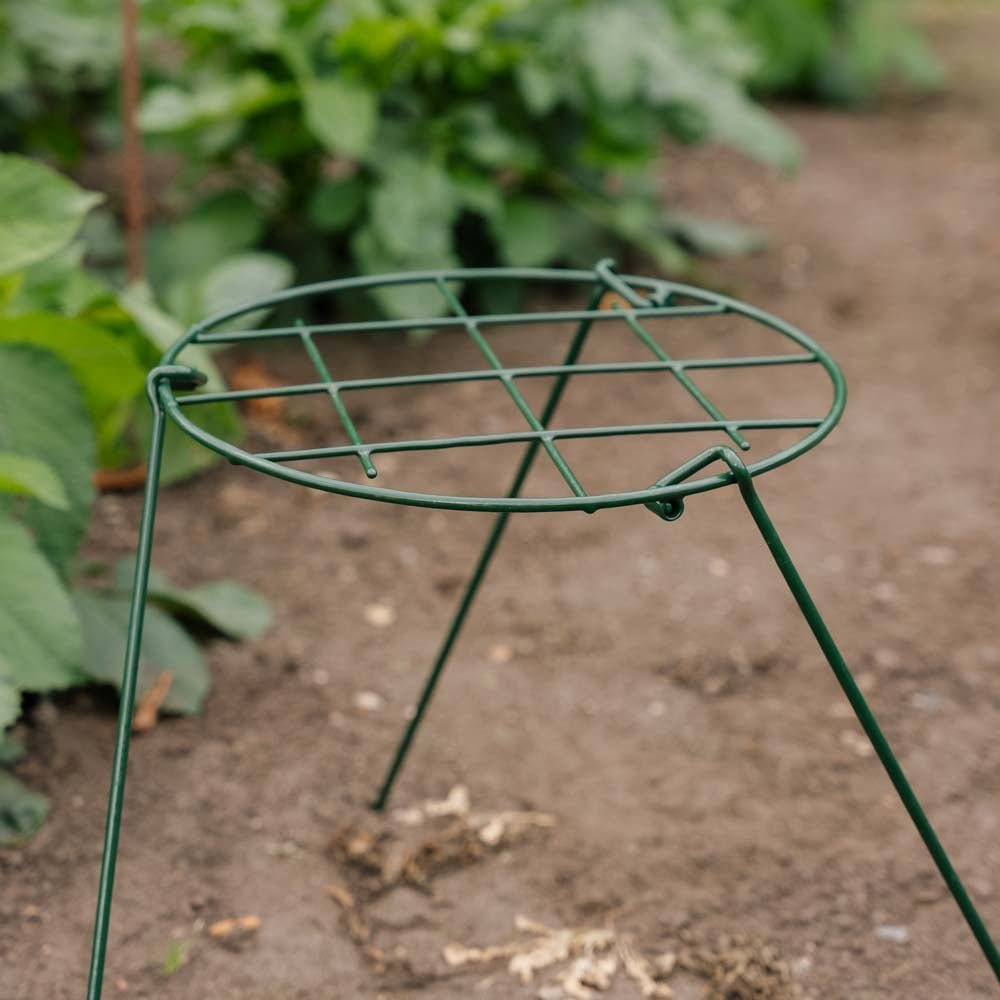 Kasvien tukiverkko, Leveys: 30 cm Korkeus: 45 cm