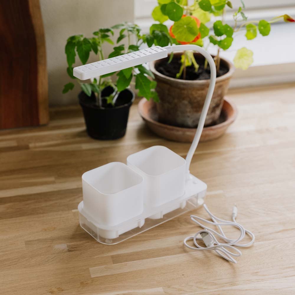 Kasvivalo, jossa 2 ruukkua, P: 22,5 cm Leveys: 9 cm Korkeus: 28,5 cm