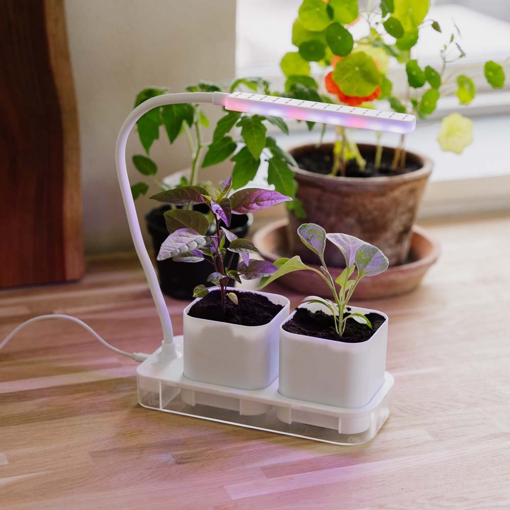 Kasvivalo, jossa 2 ruukkua, P: 22,5 cm Leveys: 9 cm Korkeus: 28,5 cm