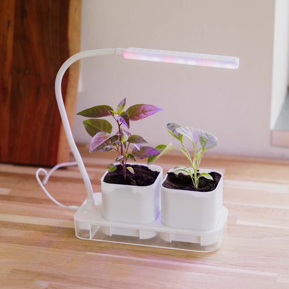 Kasvivalo, jossa 2 ruukkua, P: 22,5 cm Leveys: 9 cm Korkeus: 28,5 cm