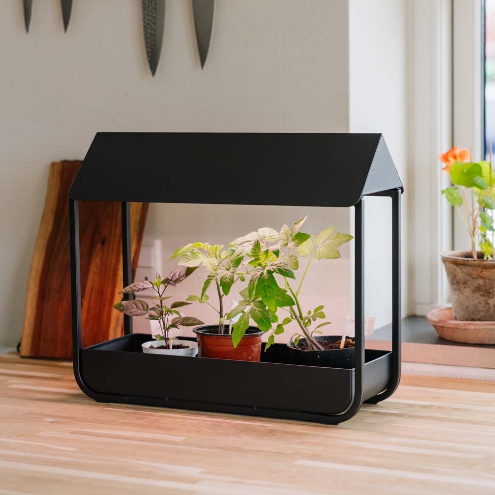 Kasvivalo, musta, Pituus: 17,5 cm Leveys: 42,4 cm Korkeus: 36.5 cm