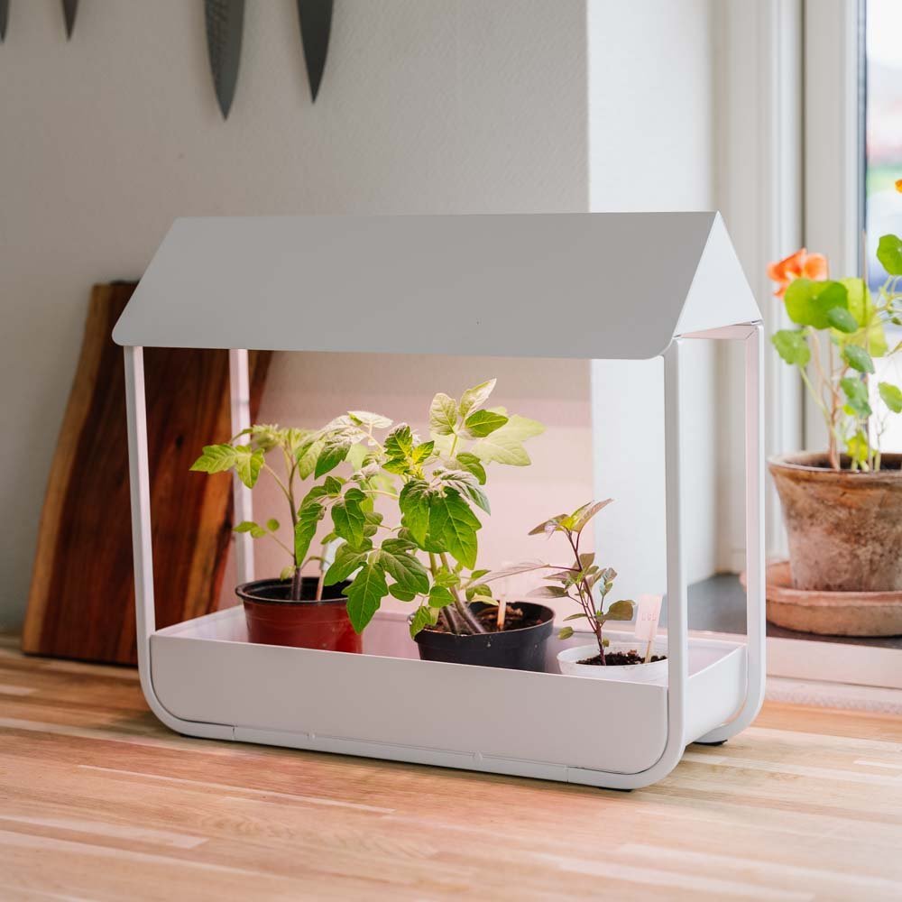 Kasvivalo, valkoinen, Pituus: 17,5 cm Leveys: 42,4 cm Korkeus: 36.5 cm