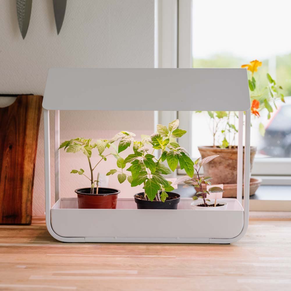 Kasvivalo, valkoinen, Pituus: 17,5 cm Leveys: 42,4 cm Korkeus: 36.5 cm