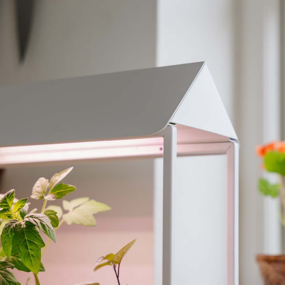 Kasvivalo, valkoinen, Pituus: 17,5 cm Leveys: 42,4 cm Korkeus: 36.5 cm