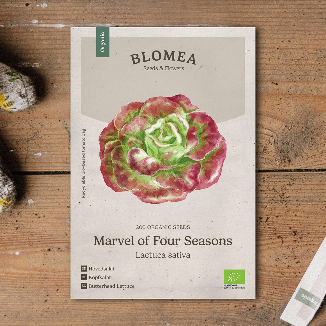 Keräsalaatin siemenet 'Marvel of Four Seasons' - 200 luomusiementä