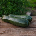 Kesäkurpitsan siemenet 'Zucchini' - 6 luomusiementä