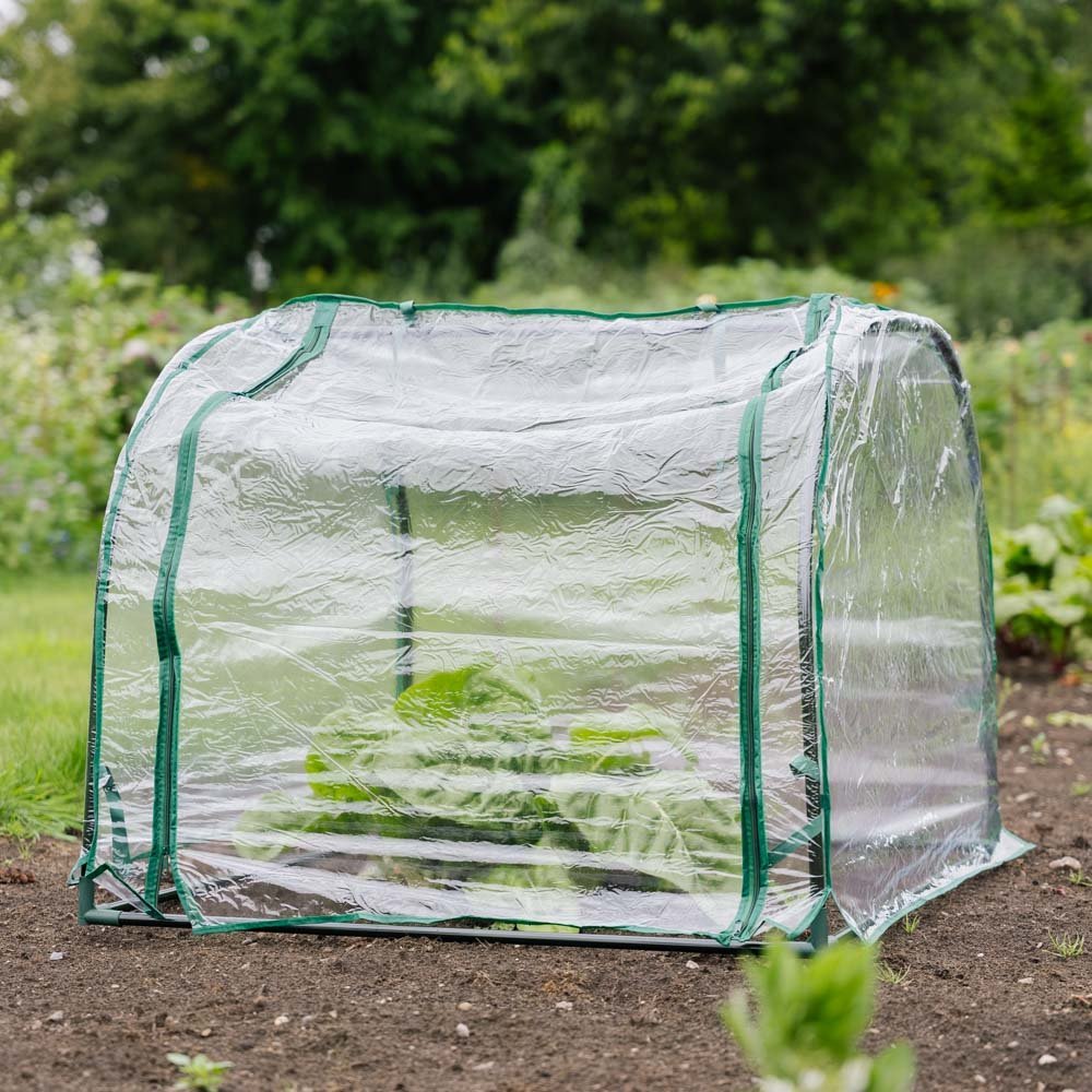 Keskikokoinen siemenkupla, Pituus: 92 cm Leveys: 90 cm Korkeus: 72 cm