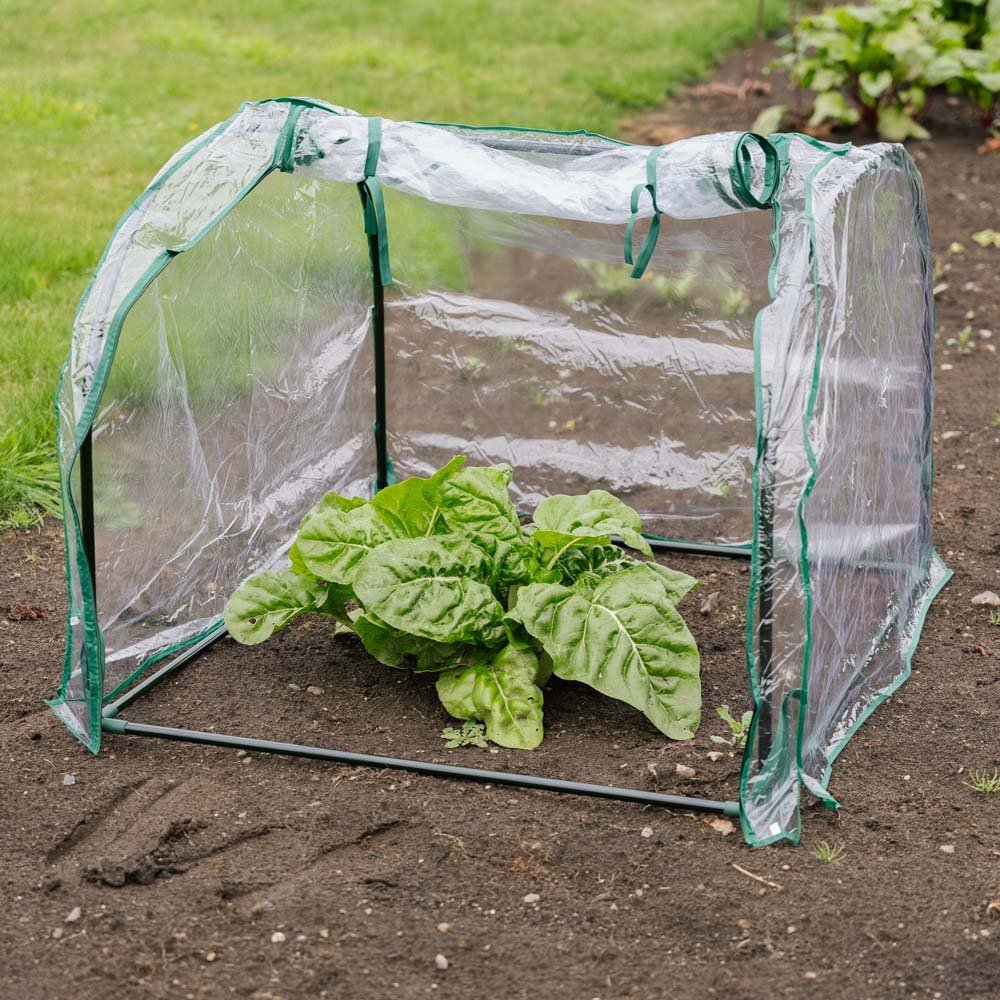 Keskikokoinen siemenkupla, Pituus: 92 cm Leveys: 90 cm Korkeus: 72 cm