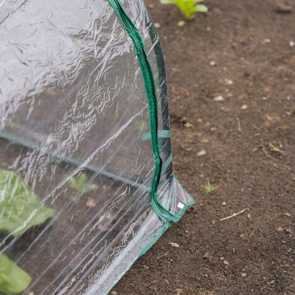 Keskikokoinen siemenkupla, Pituus: 92 cm Leveys: 90 cm Korkeus: 72 cm