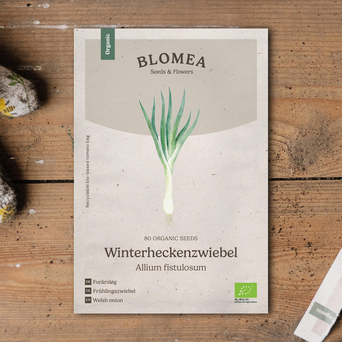 Kevätsipulin siemenet 'Winterheckenzwiebel' - 80 luomusiementä