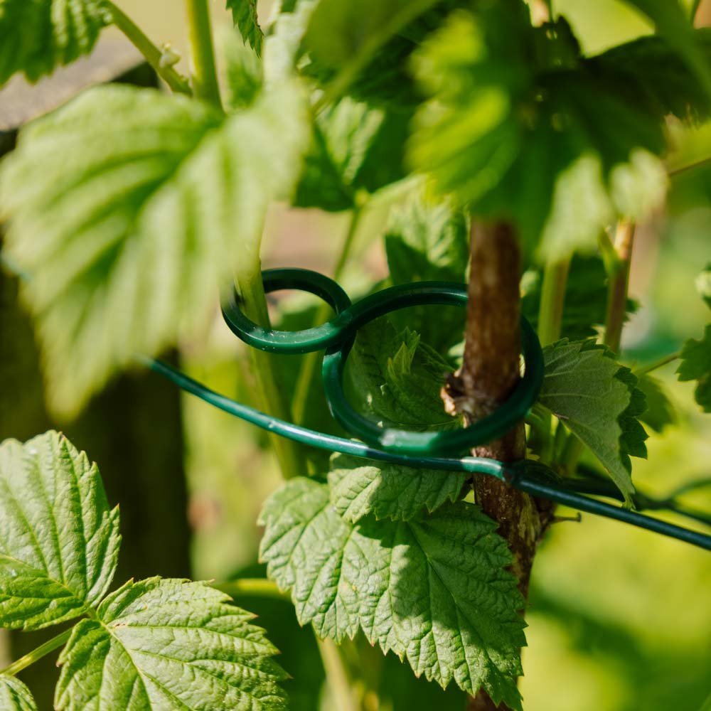 Kierrettävät kasviringit, säädettävät, 3 kpl