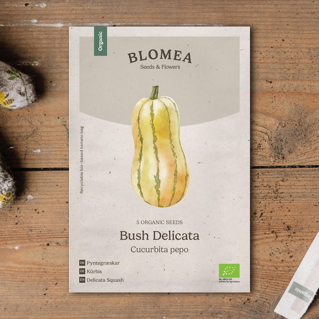 Koristekurpitsan siemenet 'Bush Delicata' - 5 luomusiementä