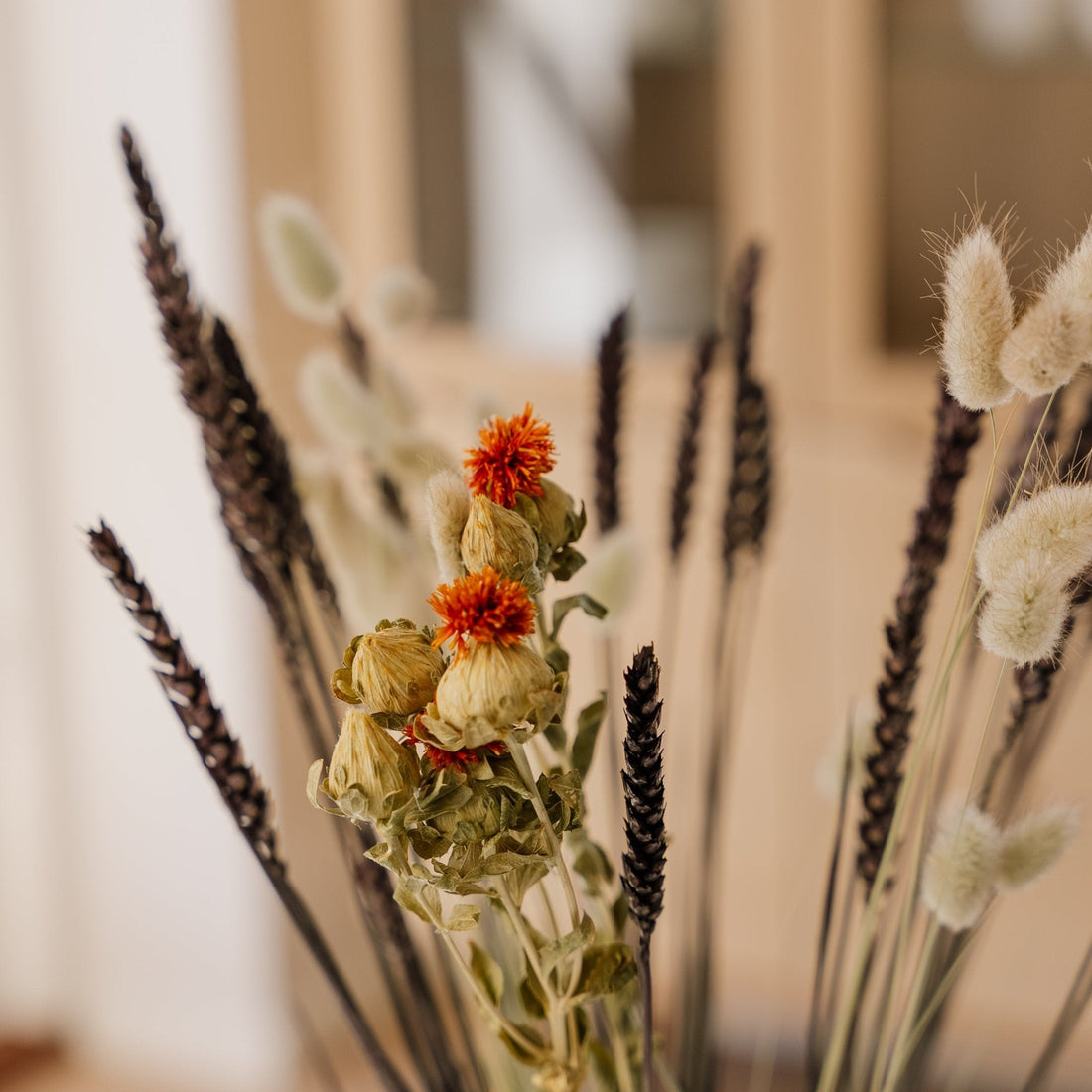 Kuivakukkakimppu, kehäkukka, H: 55 cm