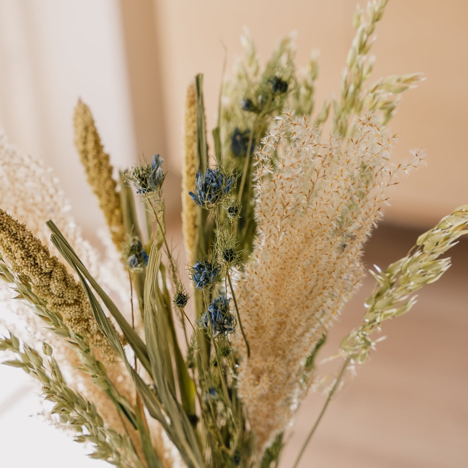 Kuivakukkakimppu, Sans, H: 50 cm
