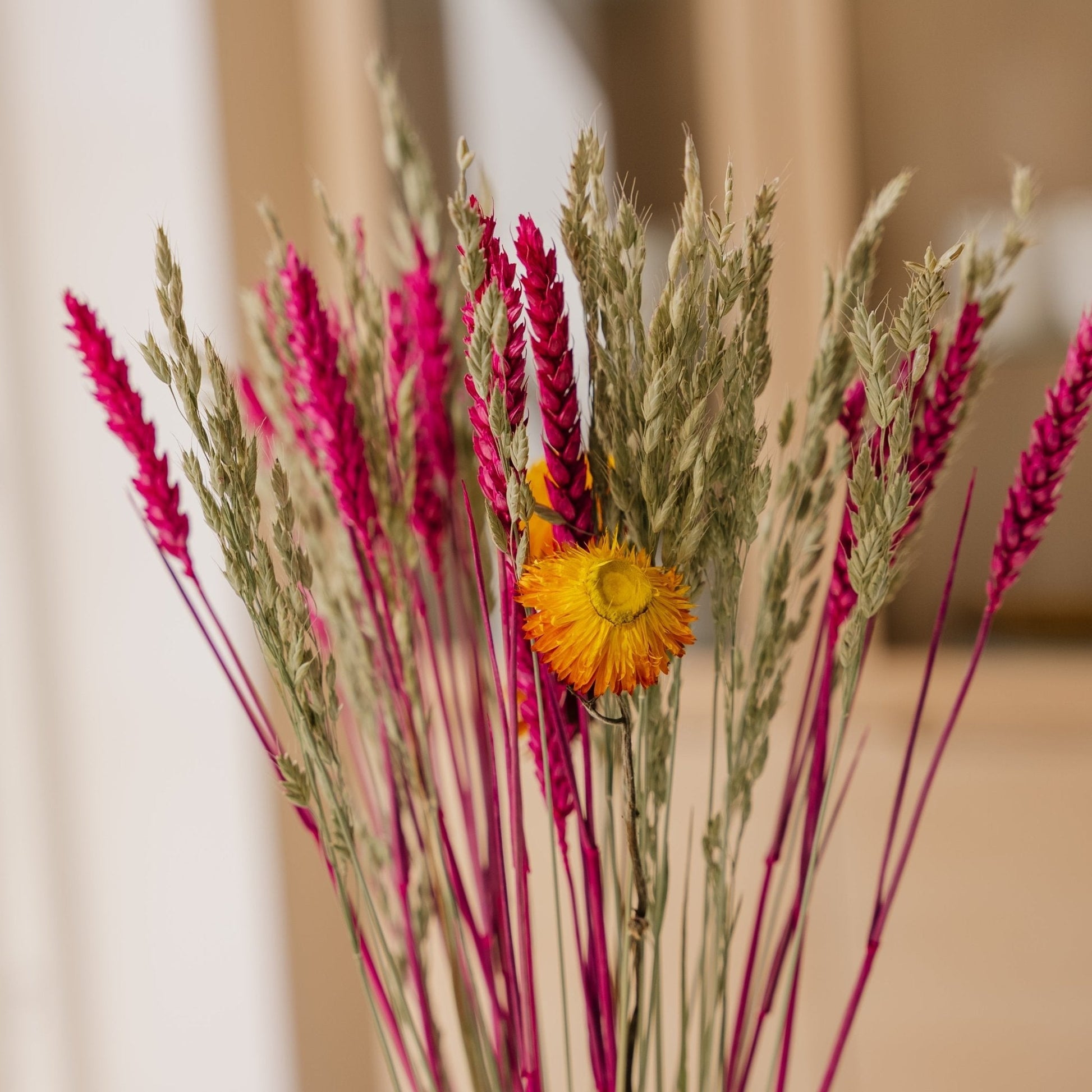 Kuivakukkakimppu, Vivahteet, H: 55 cm