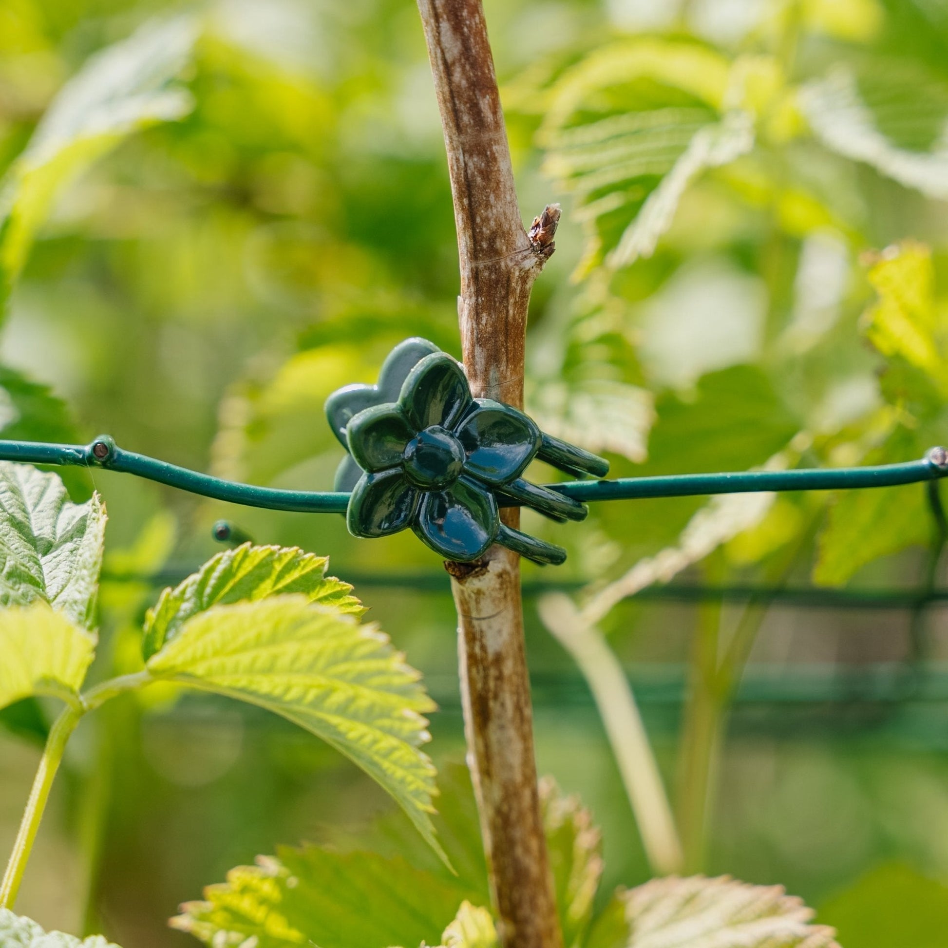 Kukkaklipsit, 10 kpl