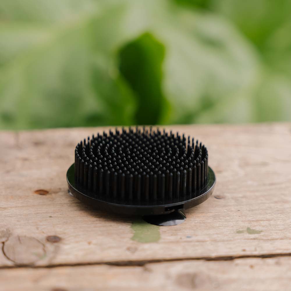 Kukkapidike, musta (muovi), Ø: 6,9 cm