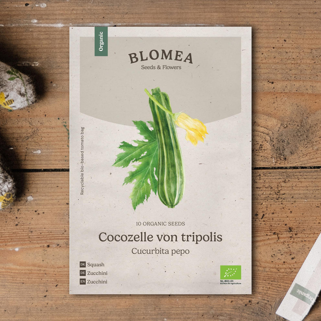 Kurpitsan siemenet 'Cocozelle von Tripolis' - 10 luomusiementä