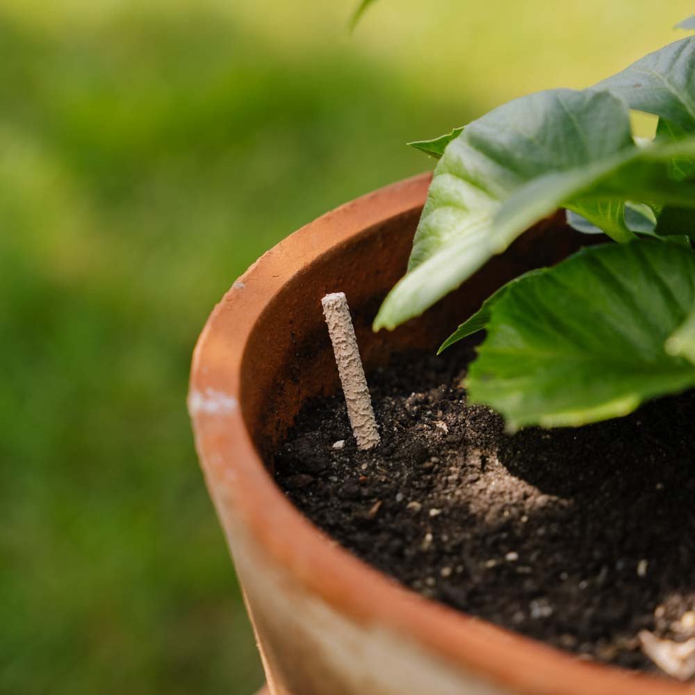 Lannoitetikut, vihreä, 30 kpl