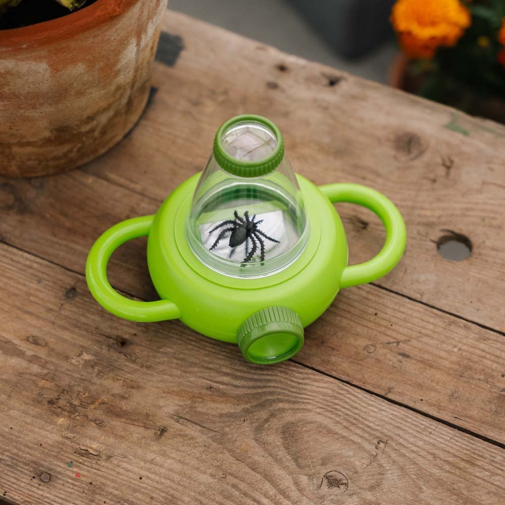 Lasten hyönteisrasia