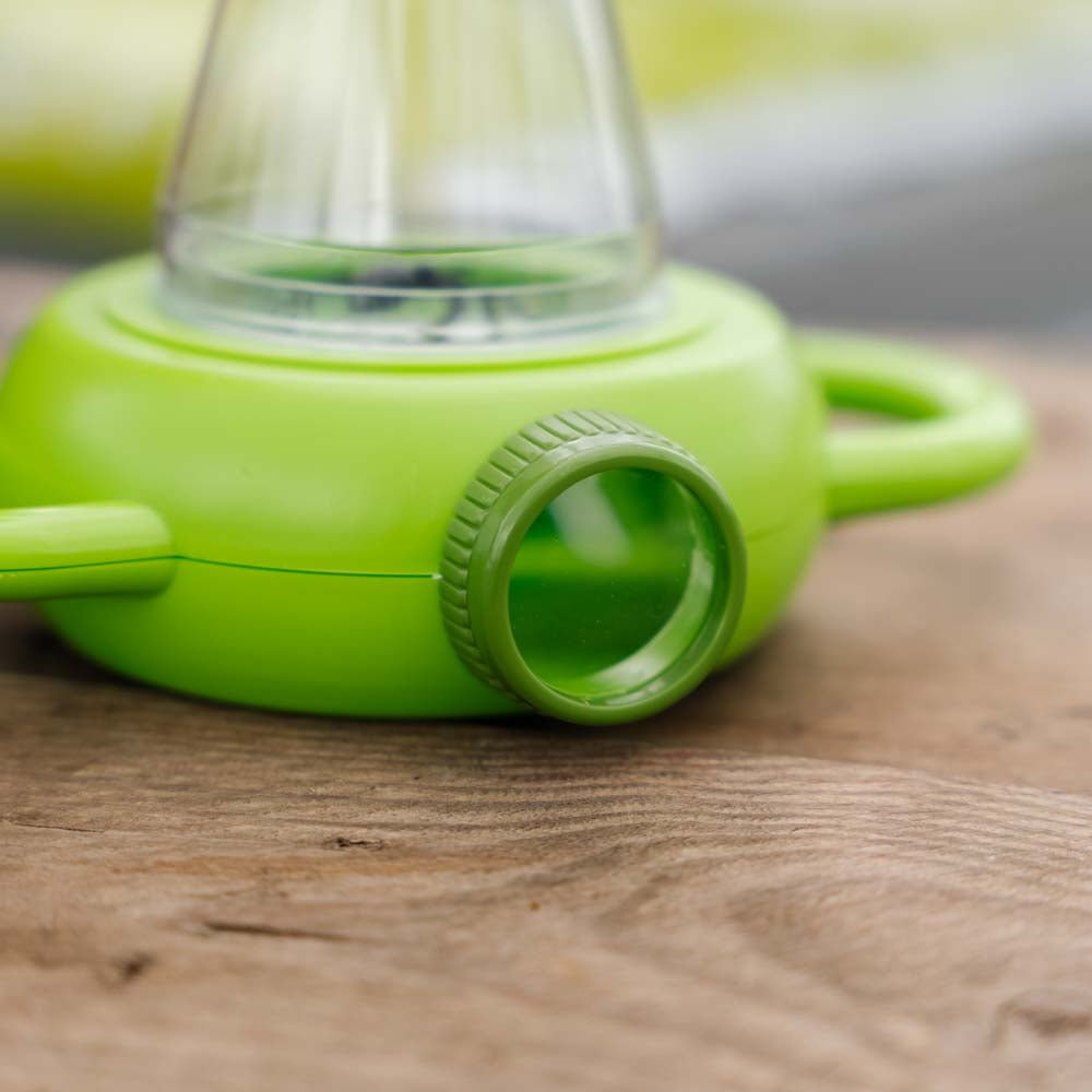 Lasten hyönteisrasia