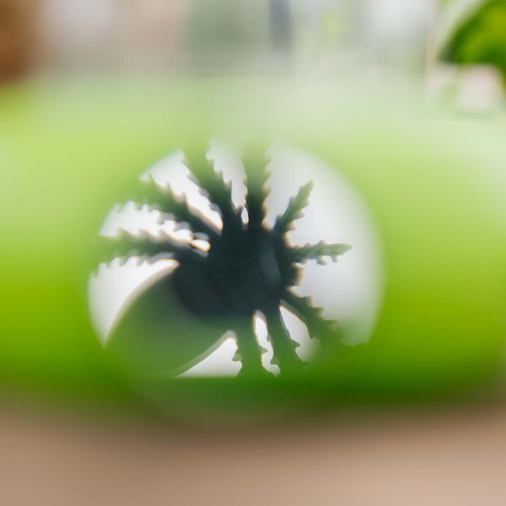 Lasten hyönteisrasia