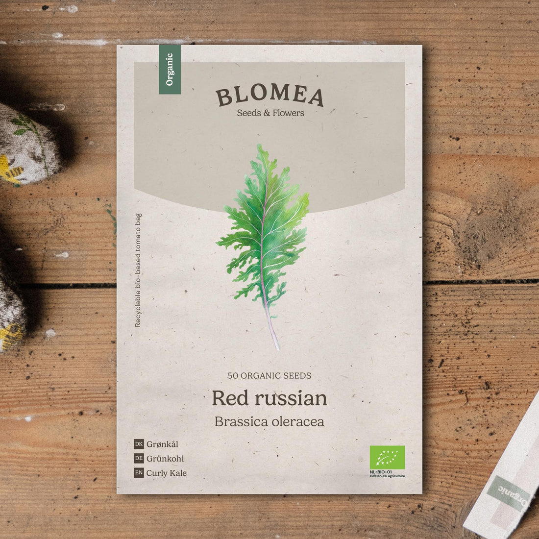 Lehtikaalin siemenet 'Red Russian' - 50 luomusiementä