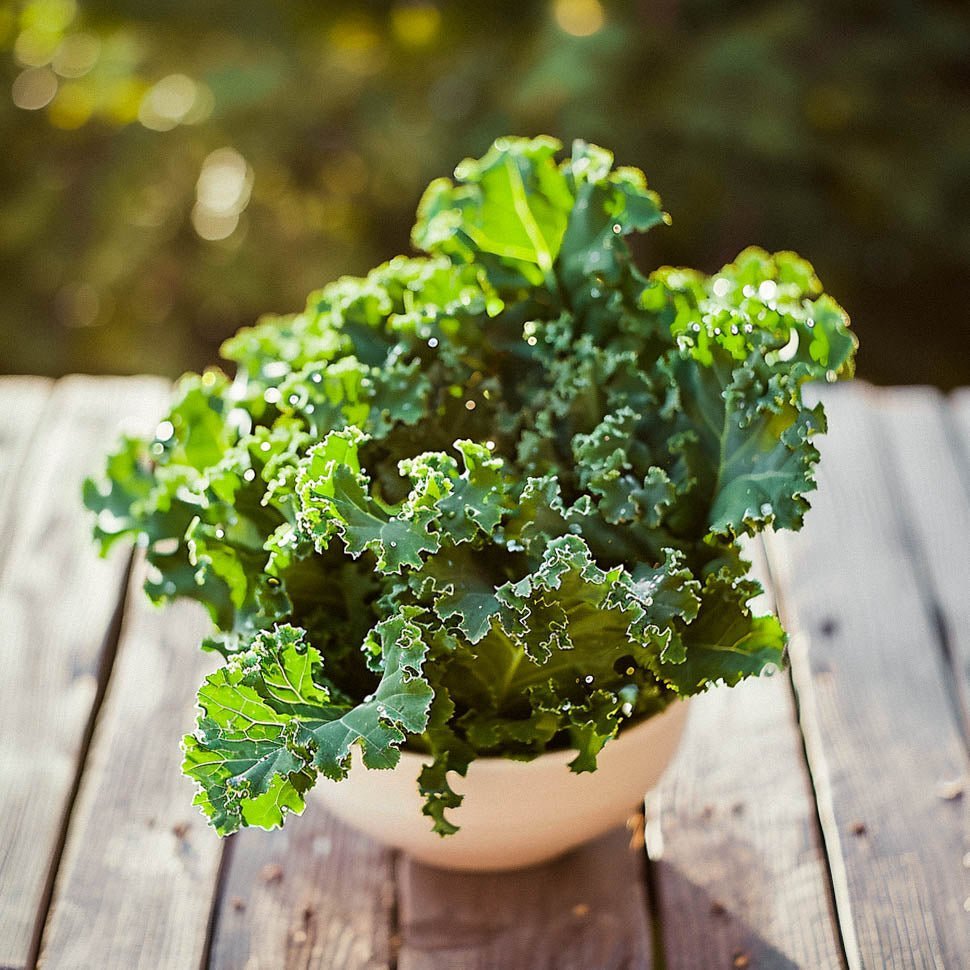 Lehtikaalin siemenet 'Westland Winter' - 75 luomusiementä