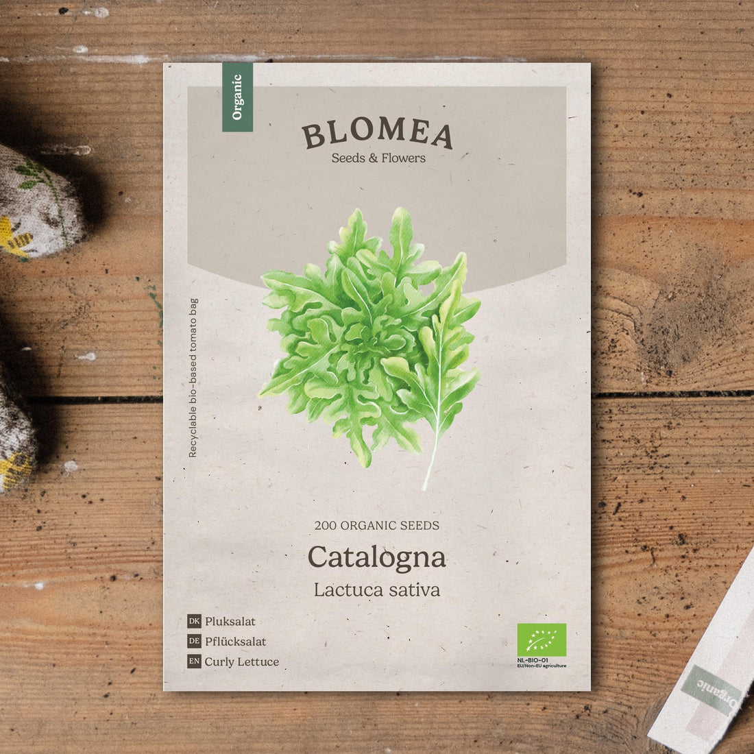 Lehtisalaatin siemenet 'Catalogna' - 200 luomusiementä