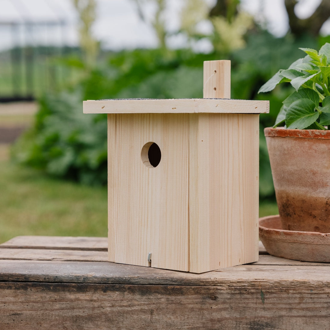 Linnunpönttö, luonnonvärinen, Pituus: 19 cm Leveys: 19 cm Korkeus: 22 cm