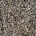 Linnunruoka, Auringonkukan siemenet, luonnollinen, 5 L