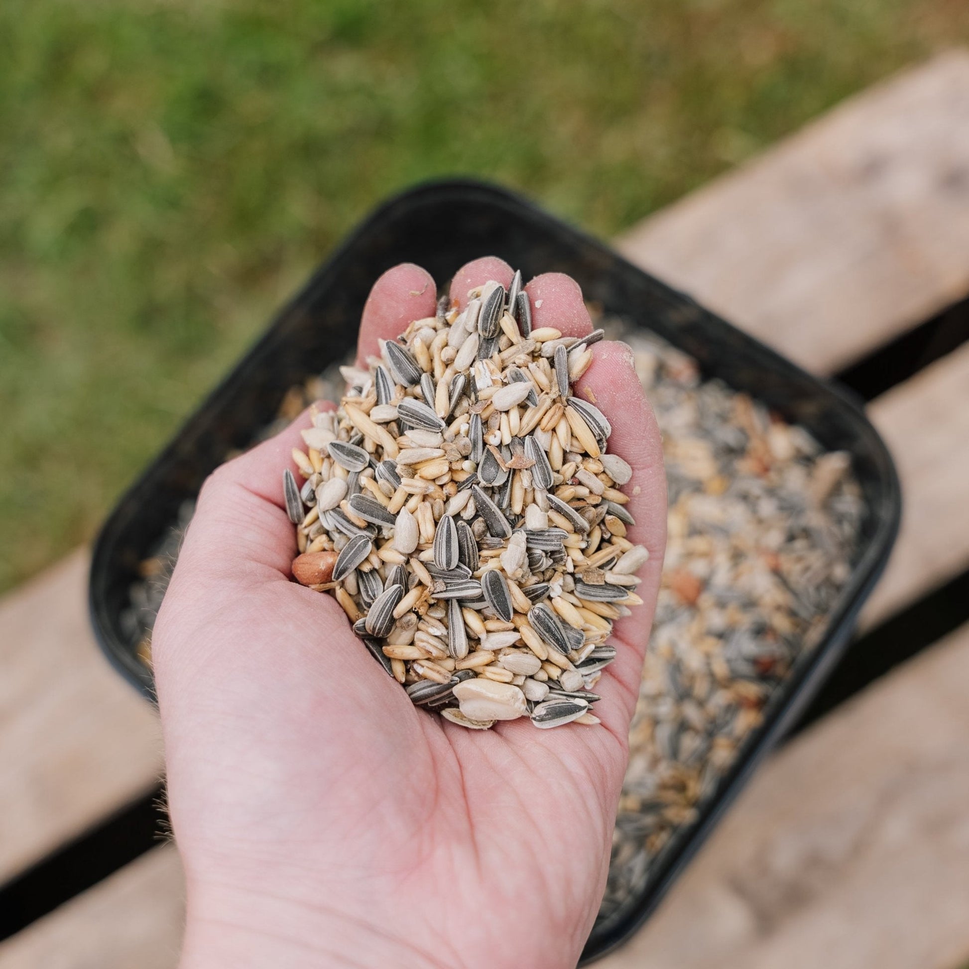 Linnunruoka, Energy de Luxe - sekoitus, 5 L