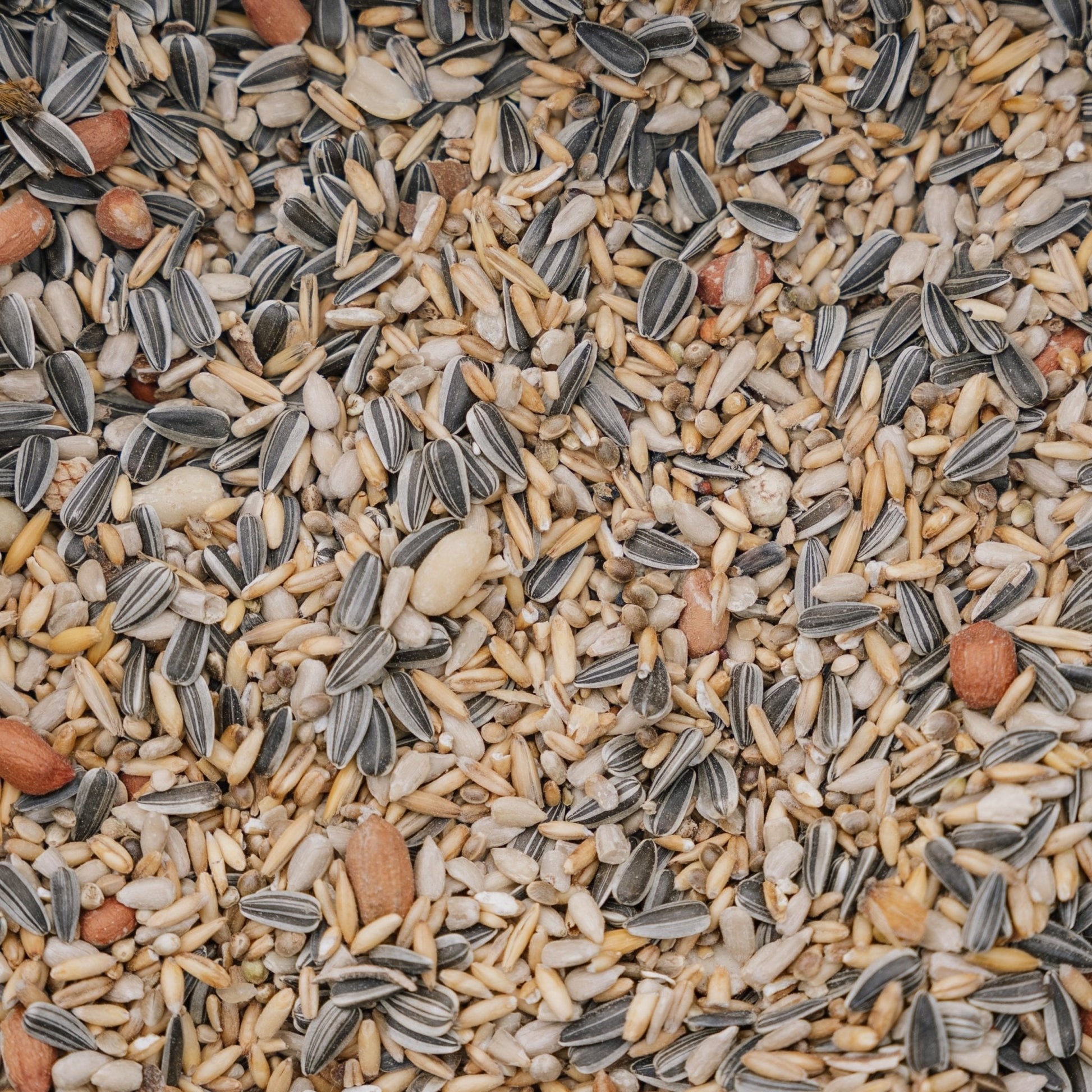 Linnunruoka, Energy de Luxe - sekoitus, 5 L