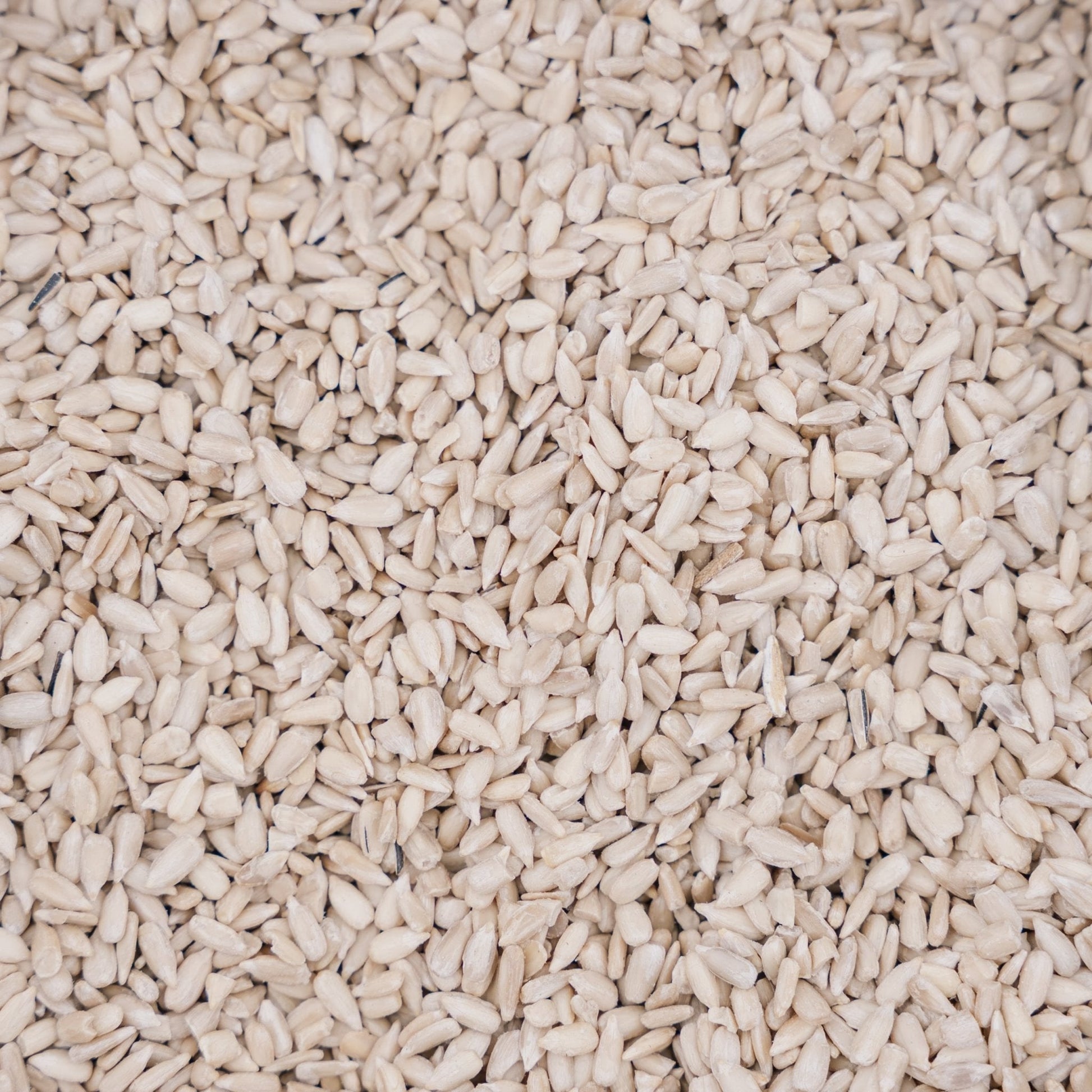 Linnunruoka, Sunflower de Luxe, 5 L