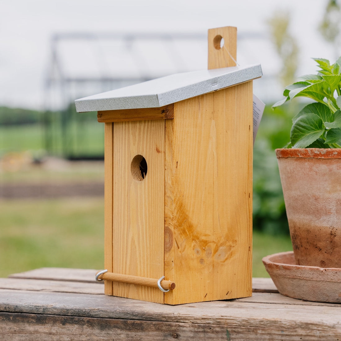 Männynpesäpönttö sinkkikatolla, Pituus: 19 cm Leveys: 16 cm Korkeus: 29 cm