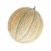 Vihannesten siemenet