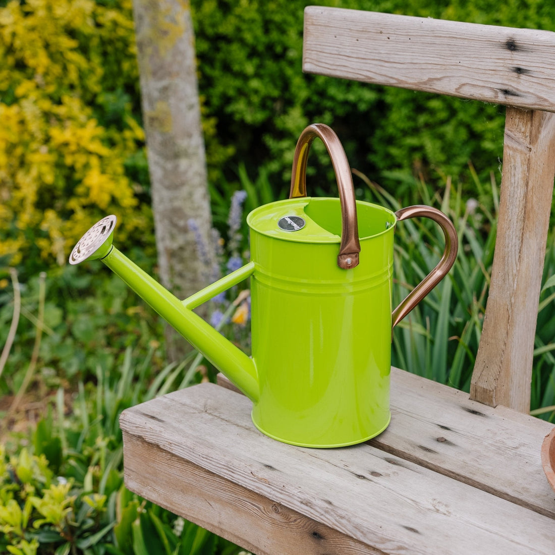 Metallinen kastelukannu, 4,5 l, raikkaan vihreä