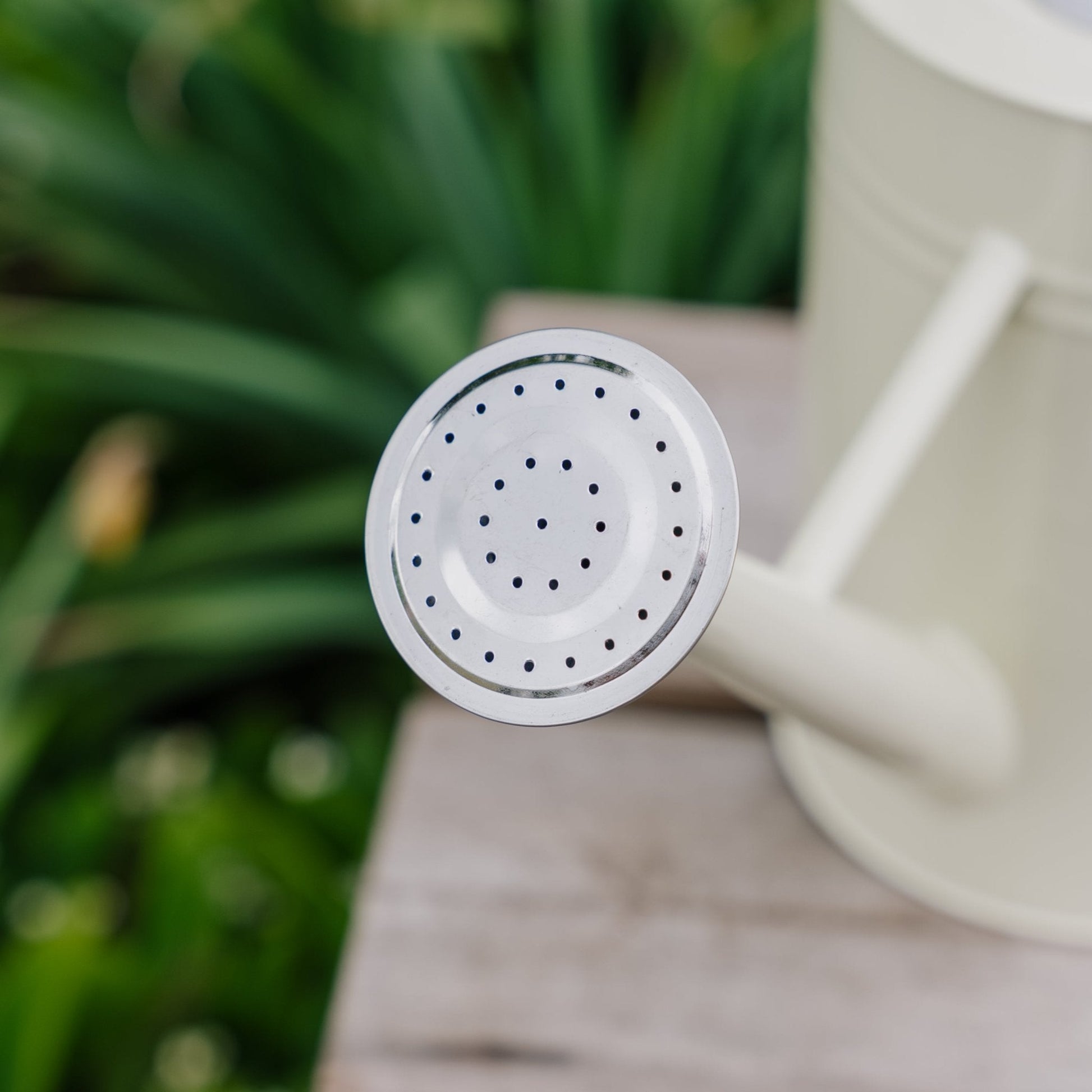 Metallinen kastelukannu, 4,5 l, vintage - kerma