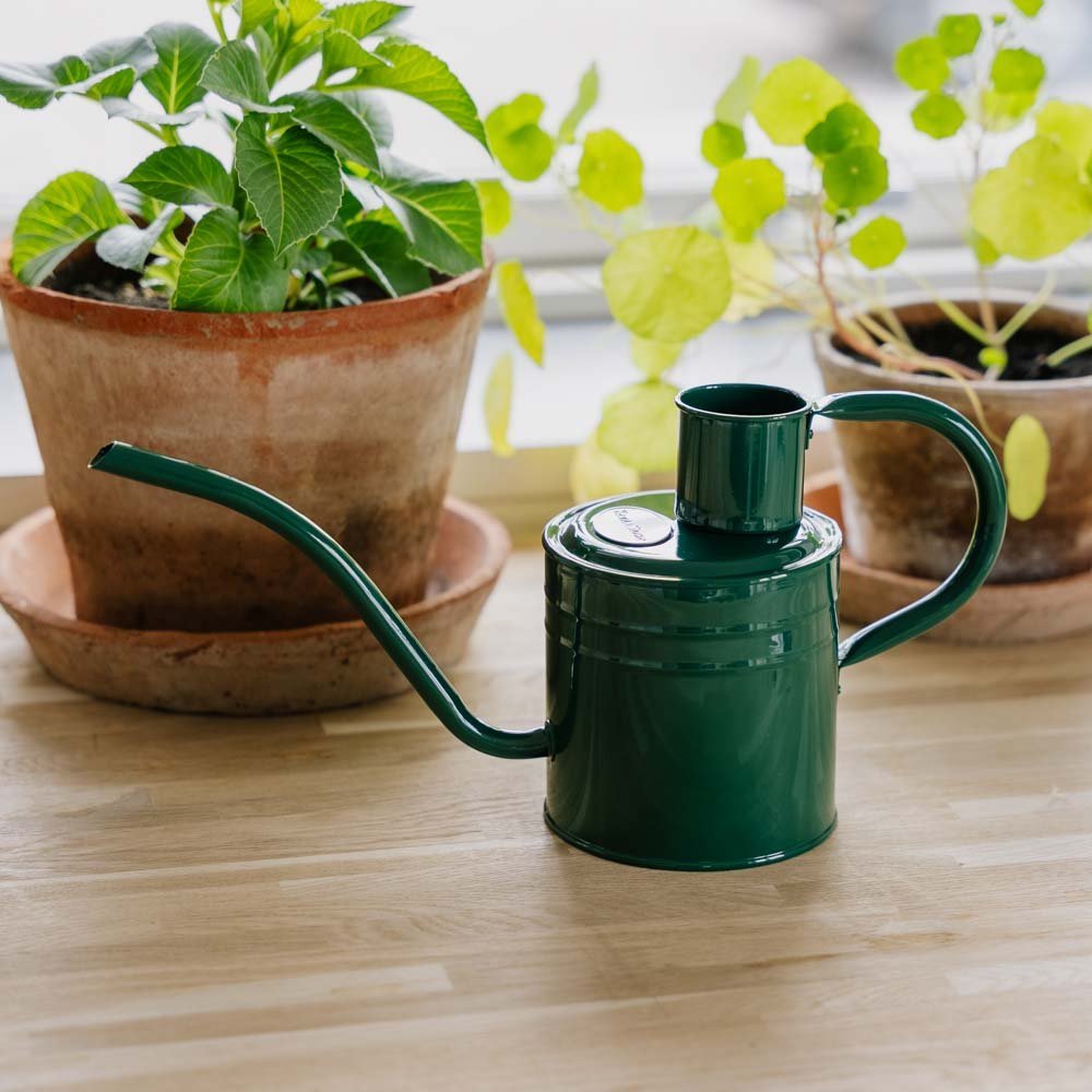 Metallinen kastelukannu sisäkäyttöön, 1 L, metsänvihreä