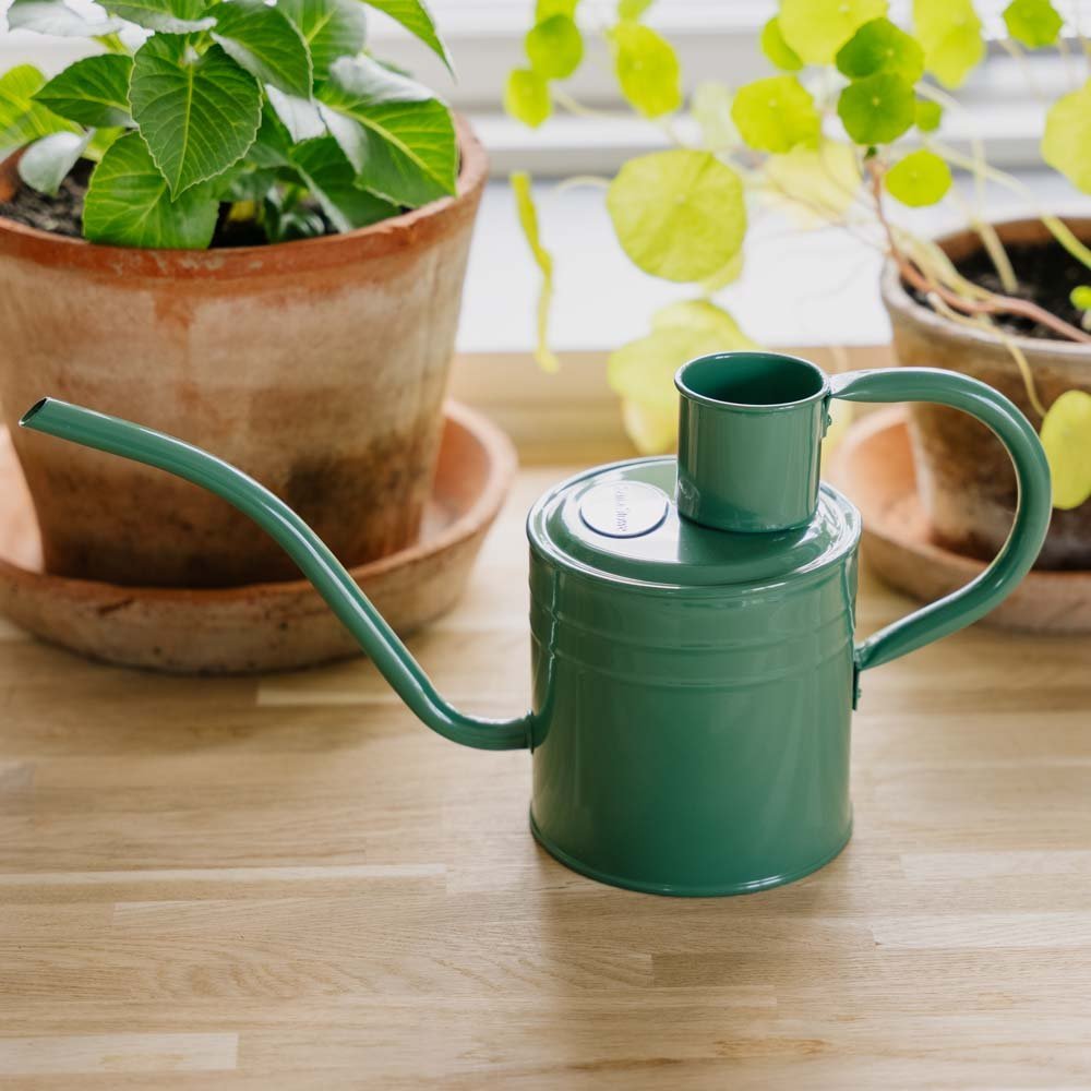 Metallinen kastelukannu sisäkäyttöön, 1 L, salvianvihreä