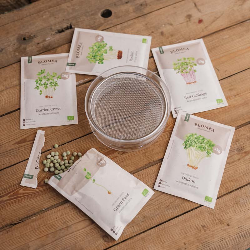 Mikrogrøntkassen med spireskål