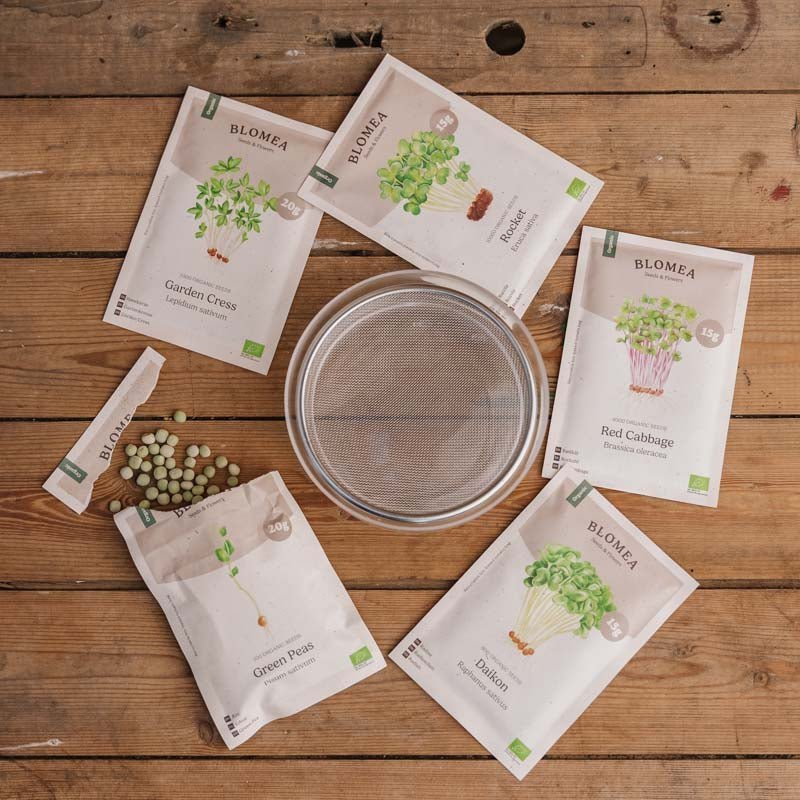 Mikrovihanneslaatikko ituversoilla