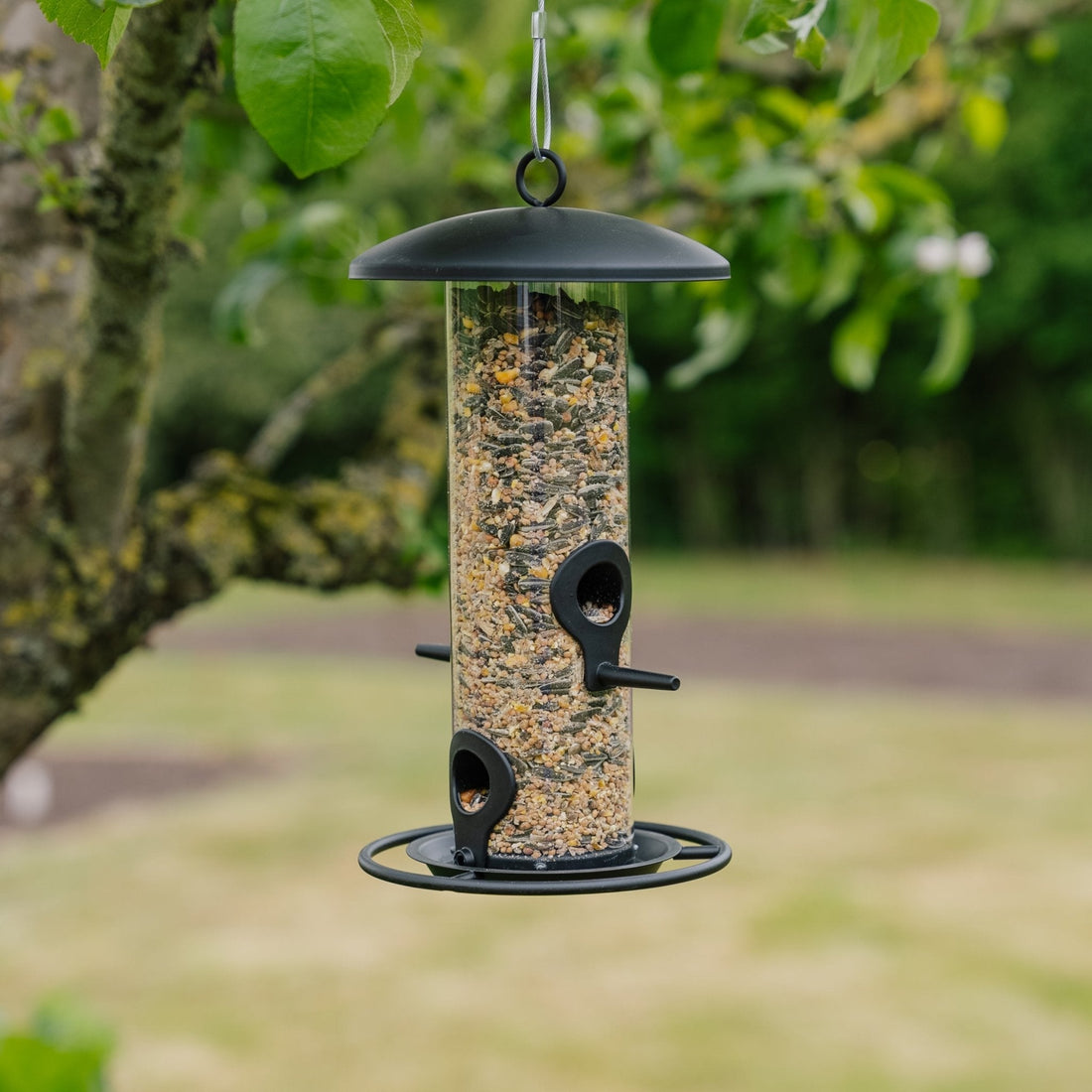 Musta siemenensyöttölaite, Ø 14 cm Korkeus: 26 cm