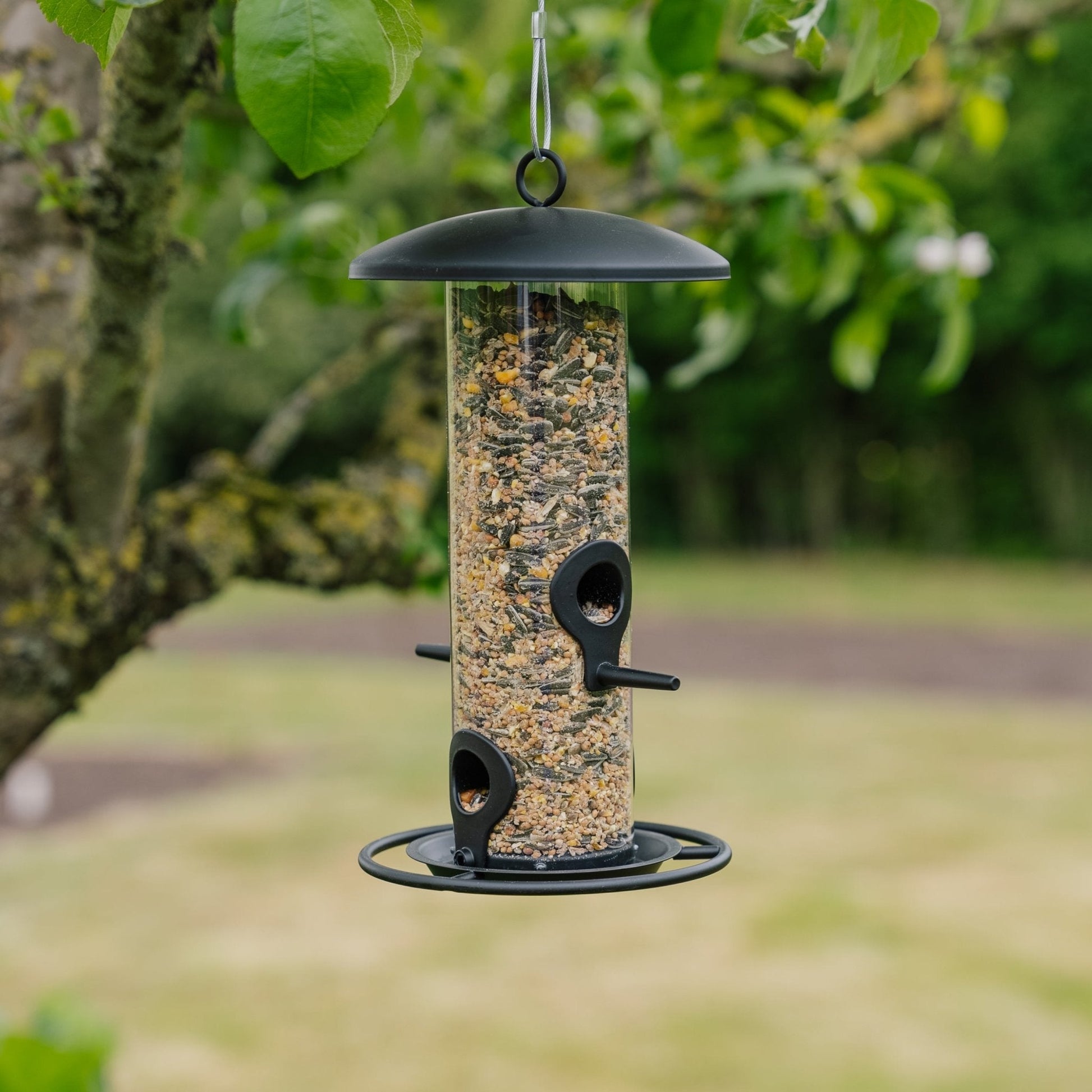 Musta siemenensyöttölaite, Ø 14 cm Korkeus: 26 cm