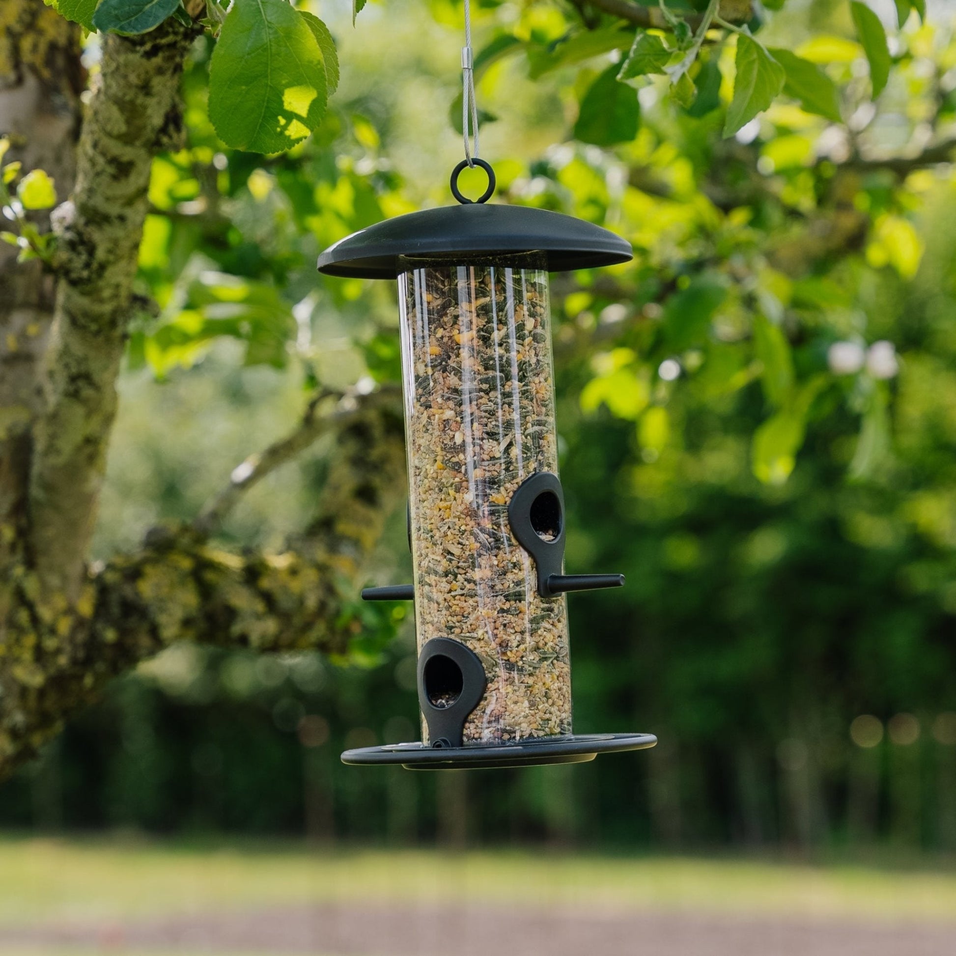 Musta siemenensyöttölaite, Ø 14 cm Korkeus: 26 cm