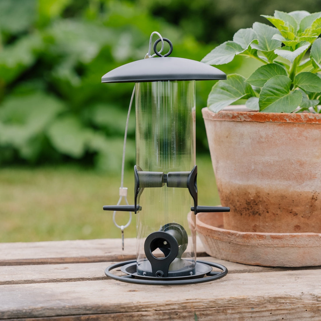 Musta siemenensyöttölaite, Ø 14 cm Korkeus: 26 cm