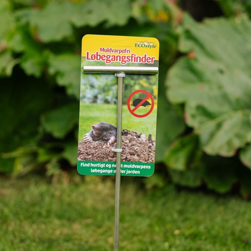 Muurahaisvapaa juoksijan etsijä, 1 kpl